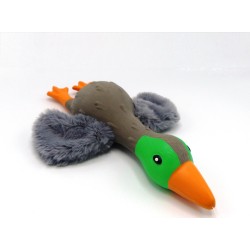Hondenknuffel wilde Eend