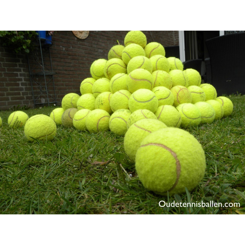 15 gebrauchte Tennisbälle für Hunde Spielzeug Ball 