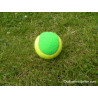 Stage 2 tennisball