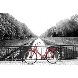 De rode fiets -...